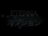 エテルナのオプションを一挙ご紹介！